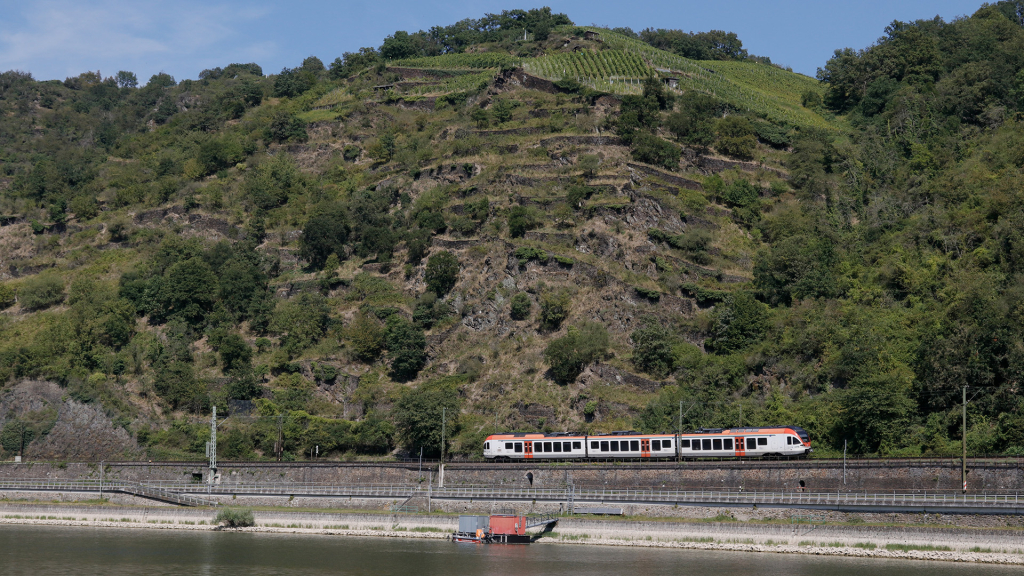 Flirt ET 305 Loreley