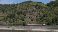 Flirt ET 305 Loreley
