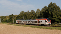Flirt ET 305 Eltville am Rhein