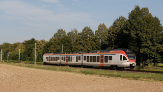 Flirt ET 305 Eltville am Rhein
