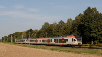 Flirt ET 412 e 315 Eltville am Rhein