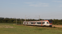 Flirt Et 406 Walluf