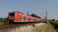 DB 425 816 e 218 e 234 Alsheim
