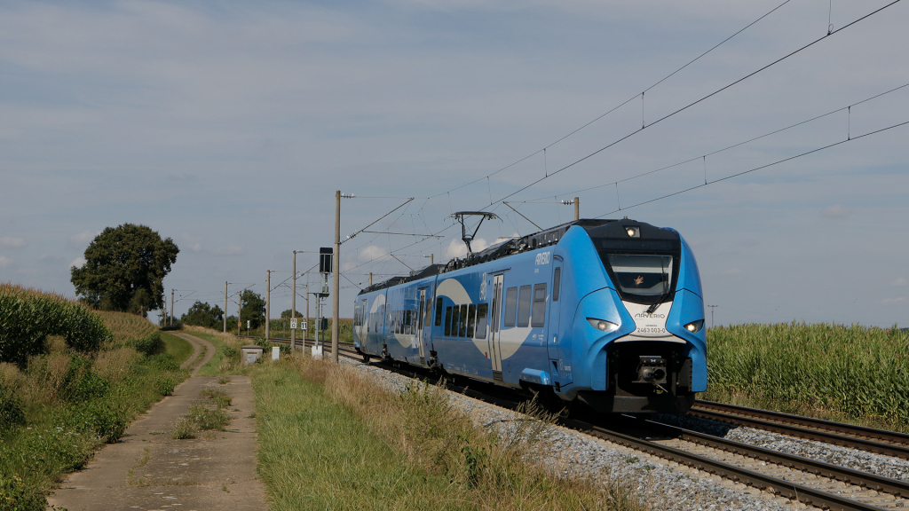 463 003 Arverio Ergersheim