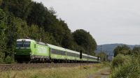 193 407 Flixtrain Wächtersbach