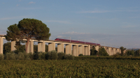 Italo AGV 575 015 Castel Viscardo