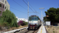 E424 232 Falcone