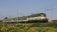 E424 322 Pasteria