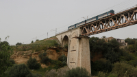 ALn668 3040 e 3010 Viadotto Sant
