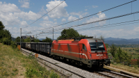 SZ 541 109 Borovnica