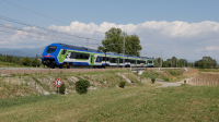 Blues Treno 051 Capriva