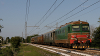 345 1142 Fontanafredda