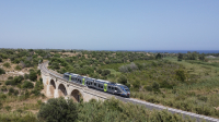 Minuetto Diesel 031 Cassibile