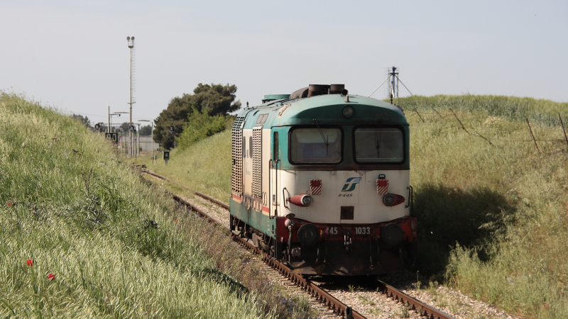 D445 1033 Candela Coda