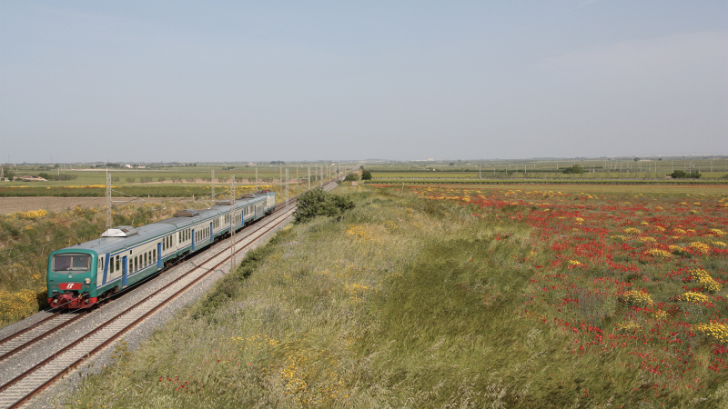 Carrozza Pilota Piano Ribassato Cerignola