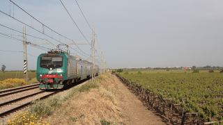 E464 109 Trinitapoli