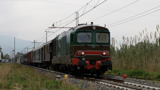 D445 1104 Cerda