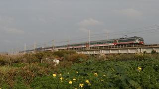 E464 200 e 213 Barcellona
