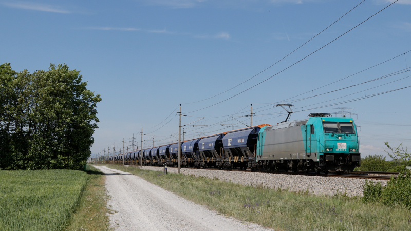 185 619 Trautmannsdorf an der Leitha