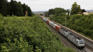 Metrans 186 024 e 013 Ederbauer