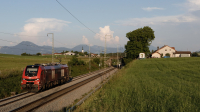 Rail Cargo Austria 159 264 Teisendorf
