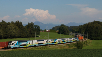 Flirt KISS 4010 019 Teisendorf